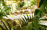 Afrikanischer Wintergarten