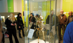 Mettmann: Neanderthal Museum - In der Ausstellung