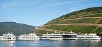 Bingen Rüdesheimer Flotte