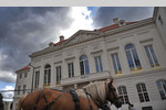 Kurländer Palais Dresden